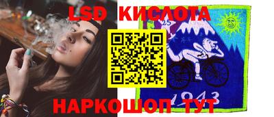 гидра Вязьма