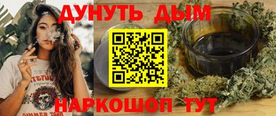 гидра Вязьма