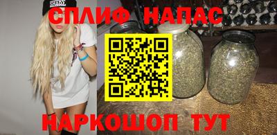гидра Вязьма