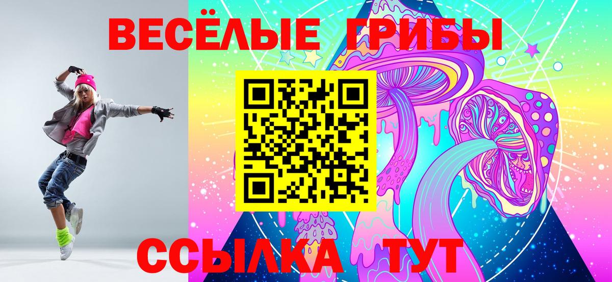 Кисловодск  Галлюциногенные грибы Psilocybine cubensis  Вход с VPN 
